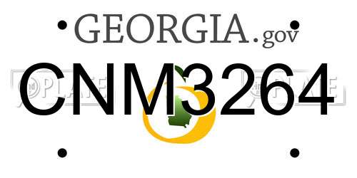 CNM3264 Georgia License Plate