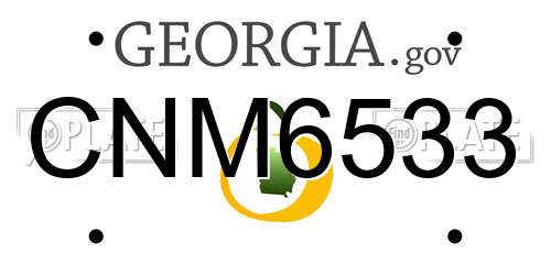 CNM6533 Georgia License Plate
