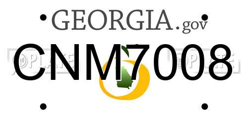 CNM7008 Georgia License Plate