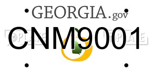CNM9001 Georgia License Plate