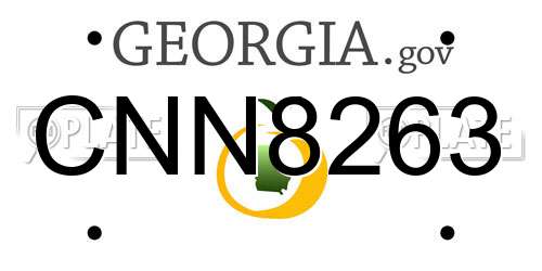 CNN8263 Georgia License Plate
