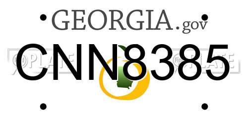 CNN8385 Georgia License Plate