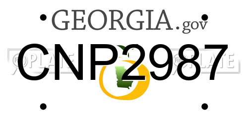 CNP2987 Georgia License Plate