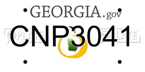 CNP3041 Georgia License Plate