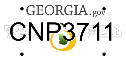 CNP3711 Georgia License Plate
