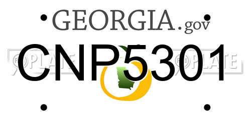CNP5301 Georgia License Plate