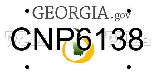 CNP6138 Georgia License Plate
