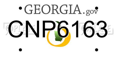 CNP6163 Georgia License Plate