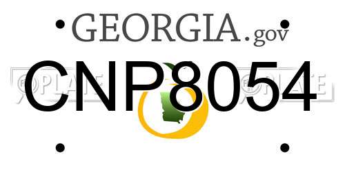 CNP8054 Georgia License Plate