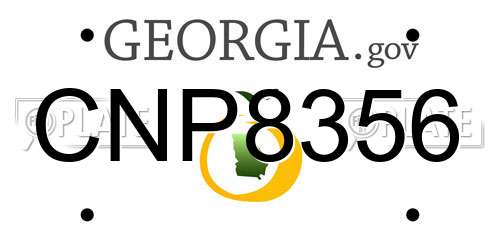 CNP8356 Georgia License Plate