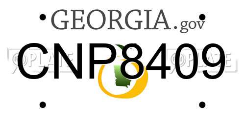 CNP8409 Georgia License Plate