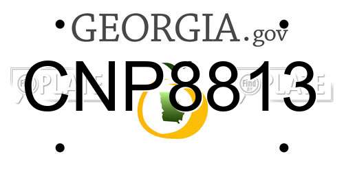CNP8813 Georgia License Plate
