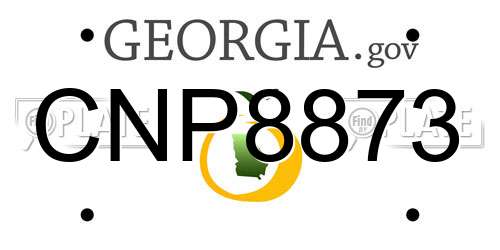 CNP8873 Georgia License Plate