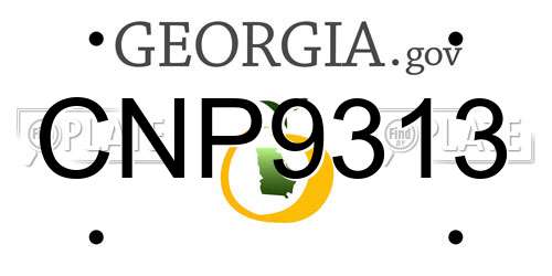 CNP9313 Georgia License Plate
