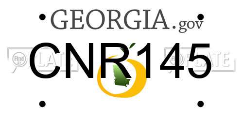 CNR145 Georgia License Plate