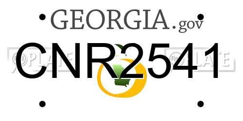 CNR2541 Georgia License Plate