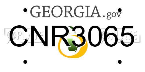 CNR3065 Georgia License Plate