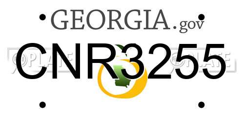 CNR3255 Georgia License Plate