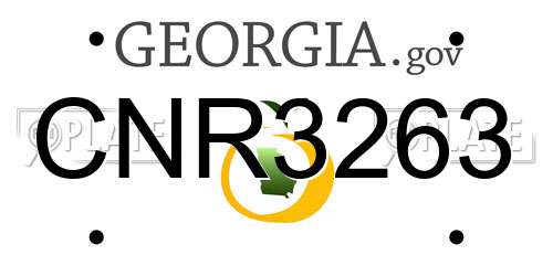 CNR3263 Georgia License Plate