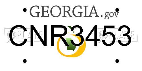 CNR3453 Georgia License Plate