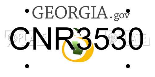 CNR3530 Georgia License Plate