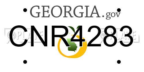 CNR4283 Georgia License Plate