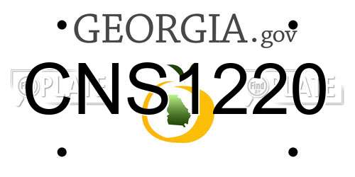 CNS1220 Georgia License Plate