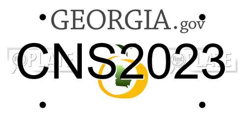 CNS2023 Georgia License Plate
