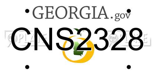 CNS2328 Georgia License Plate