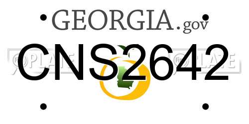 CNS2642 Georgia License Plate
