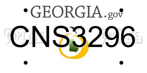 CNS3296 Georgia License Plate
