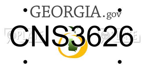 CNS3626 Georgia License Plate