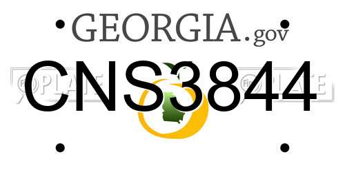 CNS3844 Georgia License Plate