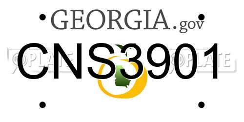 CNS3901 Georgia License Plate