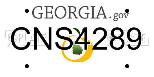 CNS4289 Georgia License Plate