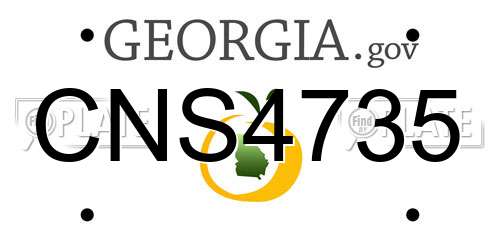 CNS4735 Georgia License Plate