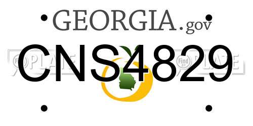 CNS4829 Georgia License Plate