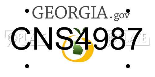 CNS4987 Georgia License Plate