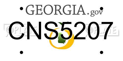 CNS5207 Georgia License Plate