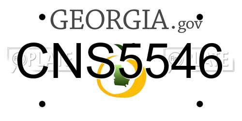 CNS5546 Georgia License Plate