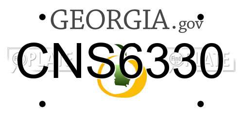 CNS6330 Georgia License Plate