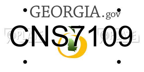 CNS7109 Georgia License Plate