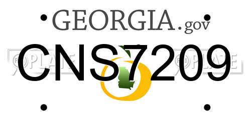 CNS7209 Georgia License Plate