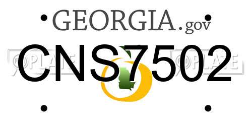CNS7502 Georgia License Plate