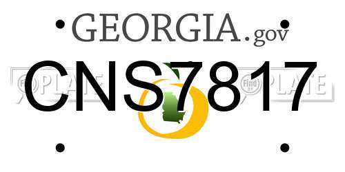 CNS7817 Georgia License Plate