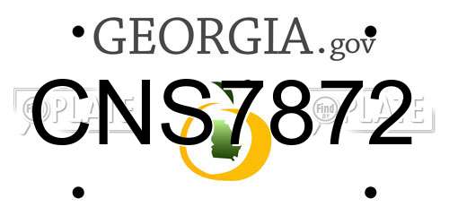 CNS7872 Georgia License Plate