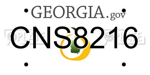 CNS8216 Georgia License Plate