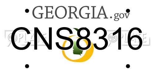 CNS8316 Georgia License Plate