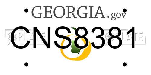 CNS8381 Georgia License Plate