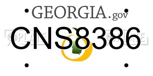 CNS8386 Georgia License Plate